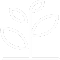 tree tree