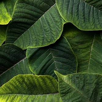 bg-landing bg-landing