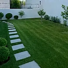 Düzenli Bahçe Bakımı