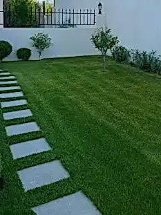 Düzenli Bahçe Bakımı