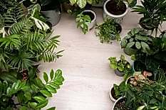 service-sg2 service-sg2