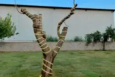 agac isiklandirma agac isiklandirma