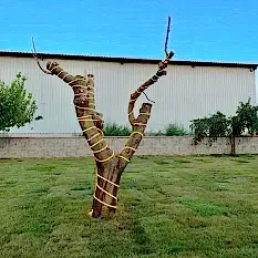 agac isiklandirma agac isiklandirma