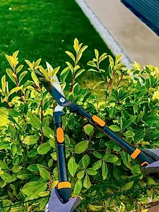 bahce duzeni 4 bahce duzeni 4