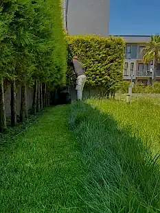 Bahçe Düzenlemesi Bahçe Düzenlemesi