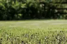 delice peyzaj iletisim delice peyzaj iletisim