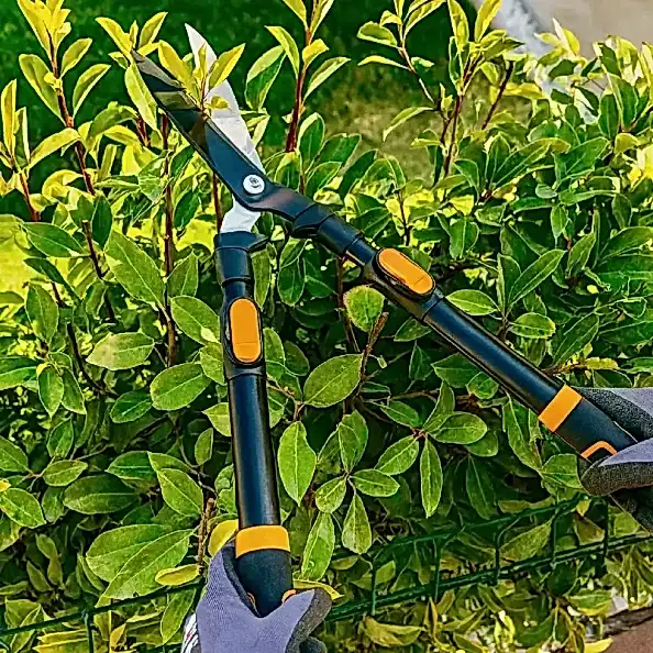 GENEL BAHÇE TEMİZLEME HİZMETİ MUĞLA GENEL BAHÇE TEMİZLEME HİZMETİ MUĞLA