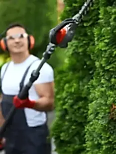 genel bahce temizligi