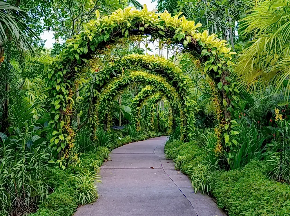 Milas Peyzaj_ Bahçeniz Milas’ın Doğasına Yakışsın