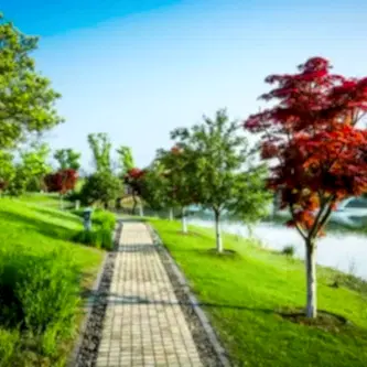 Modern Peyzaj Trendleri_ 2025’te Bahçelerde Öne Çıkan Tasarımlar Modern Peyzaj Trendleri 2025’te Bahçelerde Öne Çıkan Tasarımlar