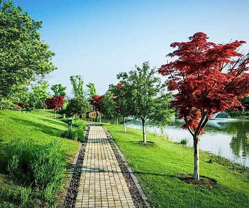 Modern Peyzaj Trendleri_ 2025’te Bahçelerde Öne Çıkan Tasarımlar Modern Peyzaj Trendleri 2025’te Bahçelerde Öne Çıkan Tasarımlar